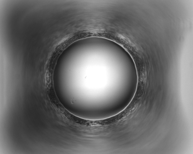 X0000096721398200802051433