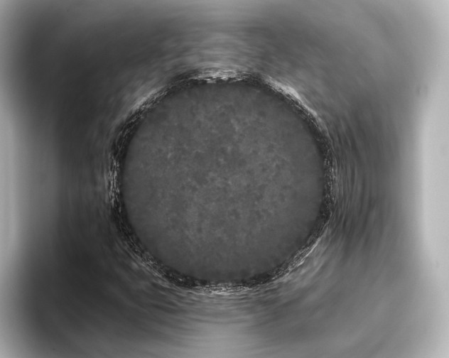 X0000096721399200802051433