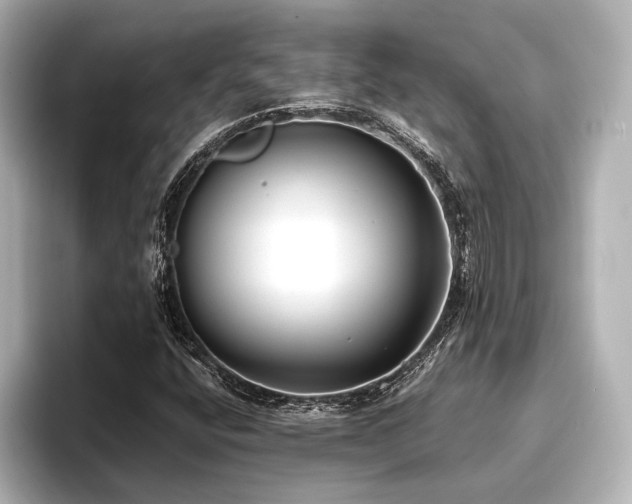 X0000096721400200802051433