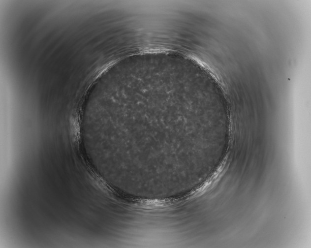 X0000096721401200802051433