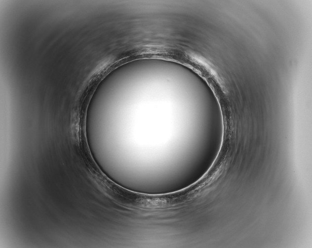 X0000096721403200802051433