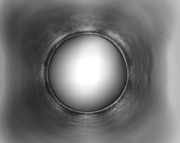X0000096721404200802051433