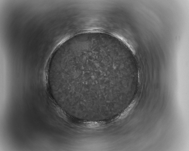 X0000096721405200802051433