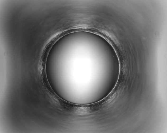X0000096721406200802051433