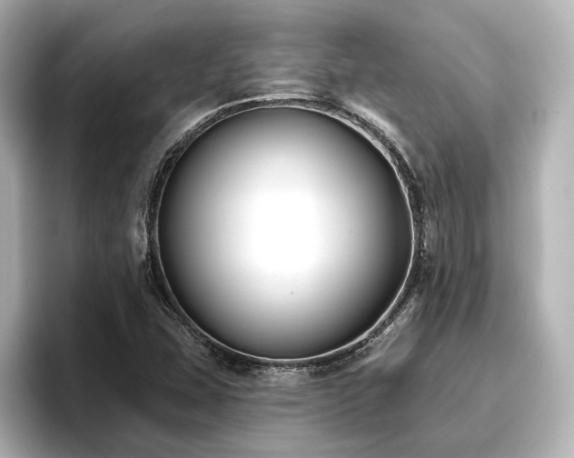 X0000096721407200802051433