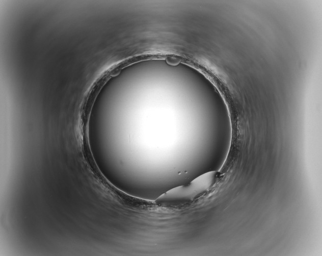 X0000096721408200802051433