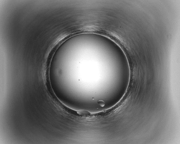 X0000096721410200802051433