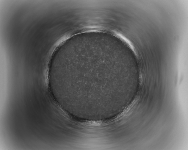 X0000096721411200802051433