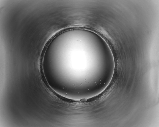 X0000096721412200802051433