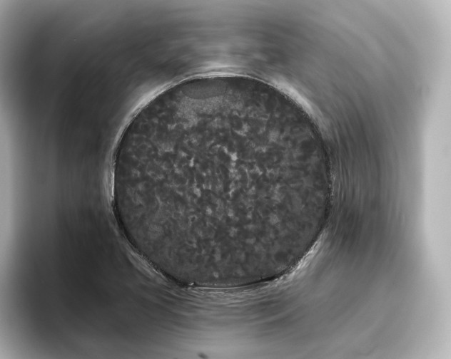 X0000096721413200802051433