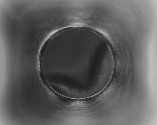 X0000096721414200802051433