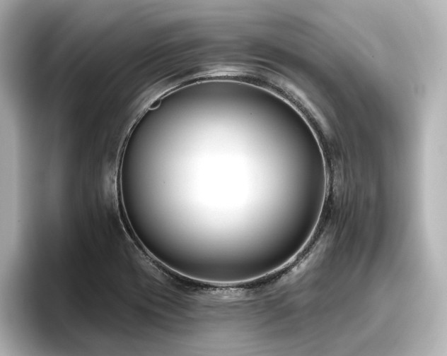 X0000096721417200802051433