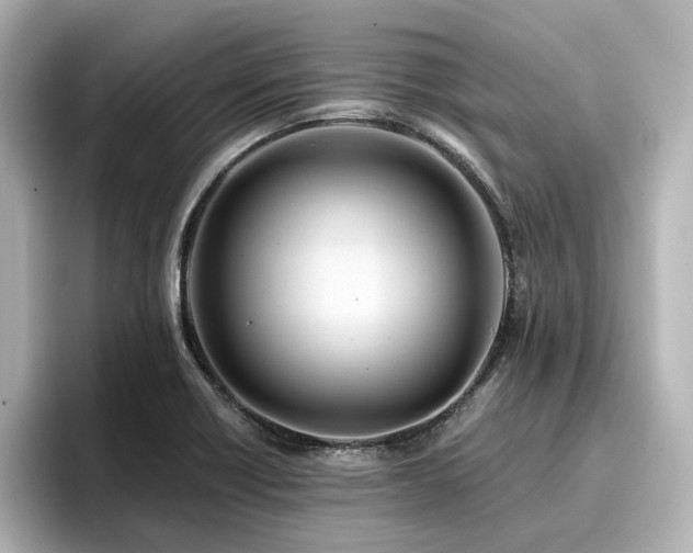 X0000096721418200802051433