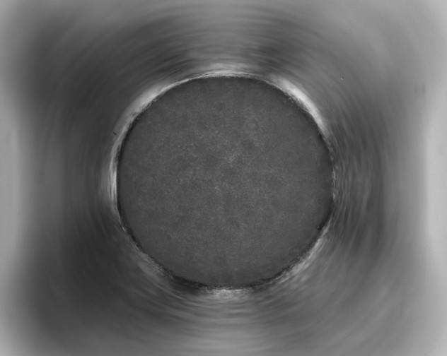 X0000096721419200802051433
