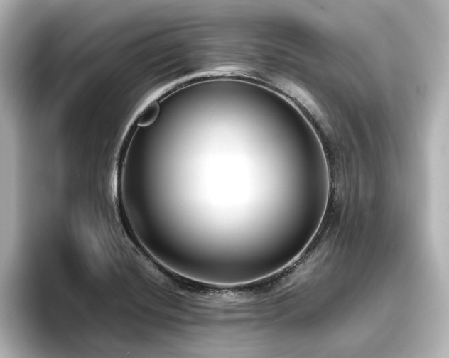 X0000096721420200802051433