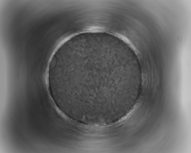 X0000096721421200802051433