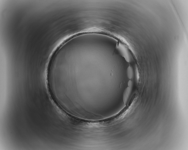 X0000096721422200802051433
