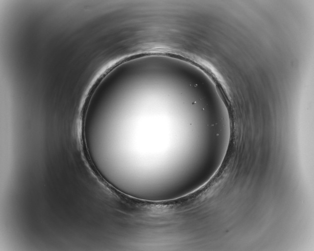 X0000096721424200802051433