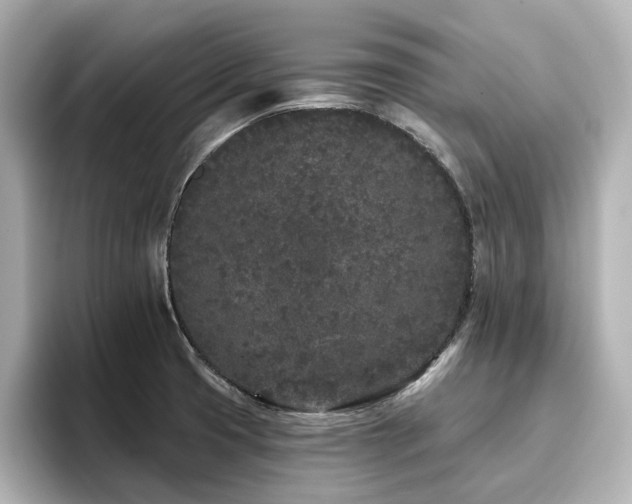 X0000096721425200802051433