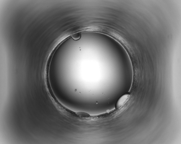 X0000096721426200802051433