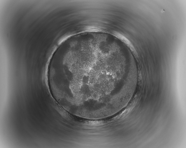 X0000096721427200802051433