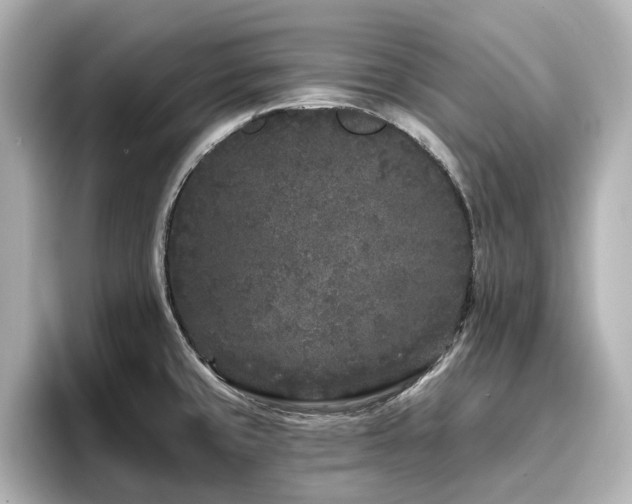 X0000096721429200802051433