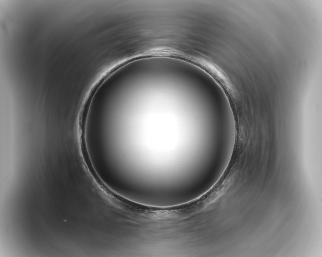 X0000096721430200802051433