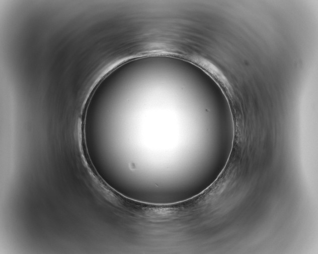 X0000096721431200802051433