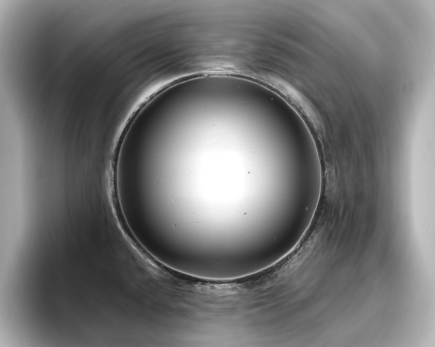 X0000096721432200802051433