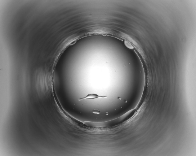 X0000096721433200802051433
