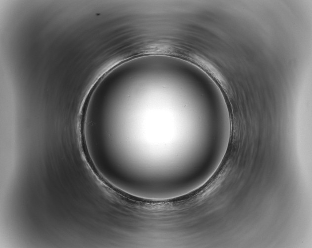 X0000096721434200802051433