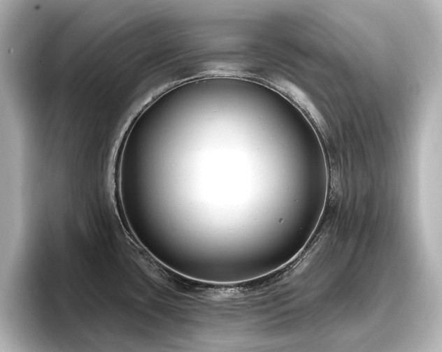 X0000096721435200802051433
