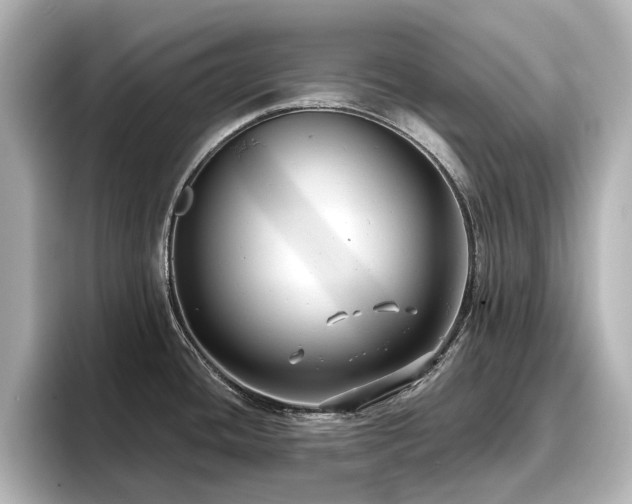 X0000096721436200802051433