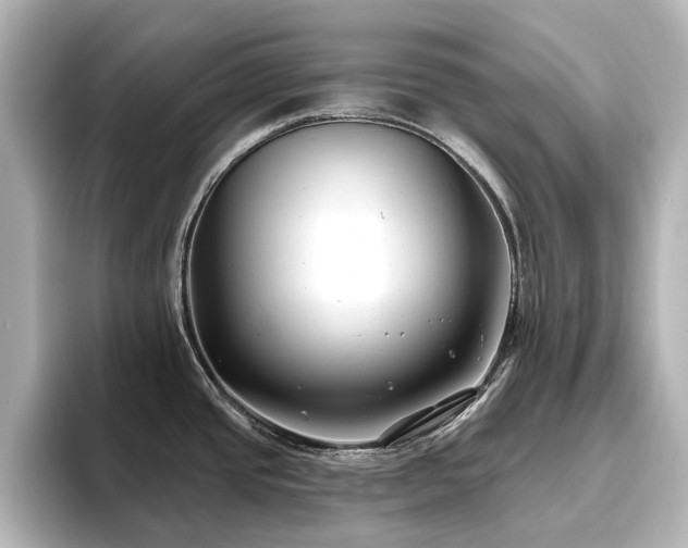 X0000096721437200802051433