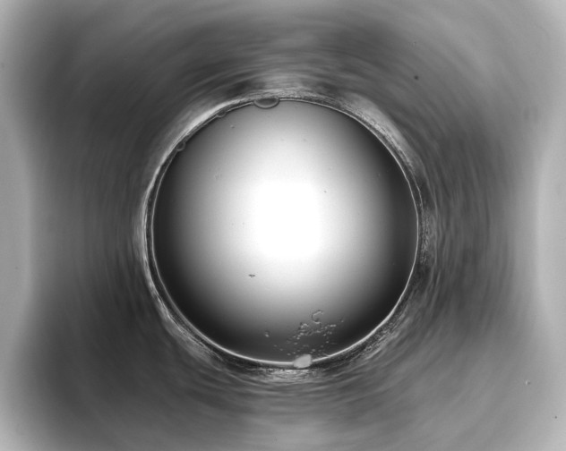 X0000096721439200802051433
