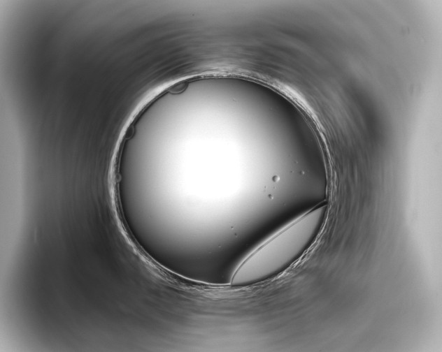 X0000096721440200802051433