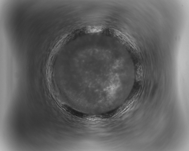 X0000096721441200802051433