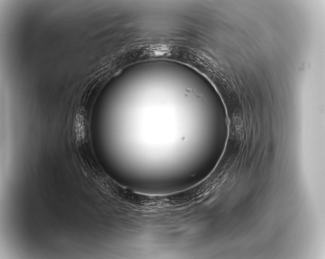 X0000096721442200802051433
