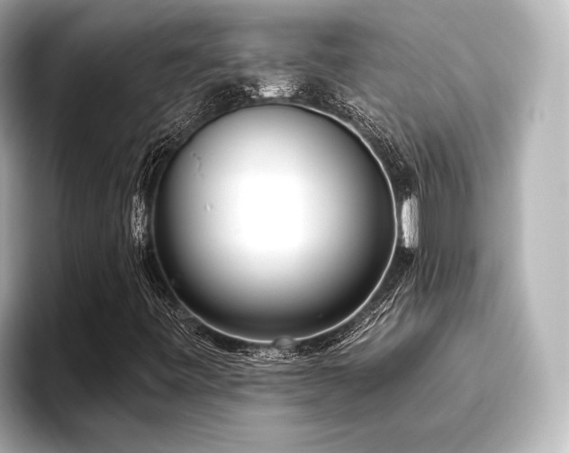 X0000096721443200802051433