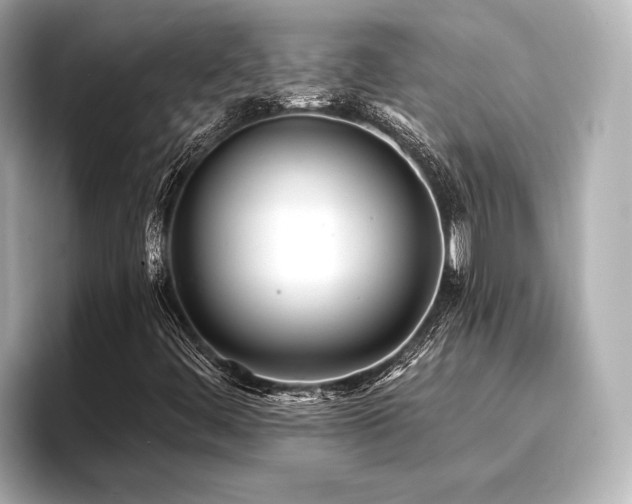X0000096721444200802051433