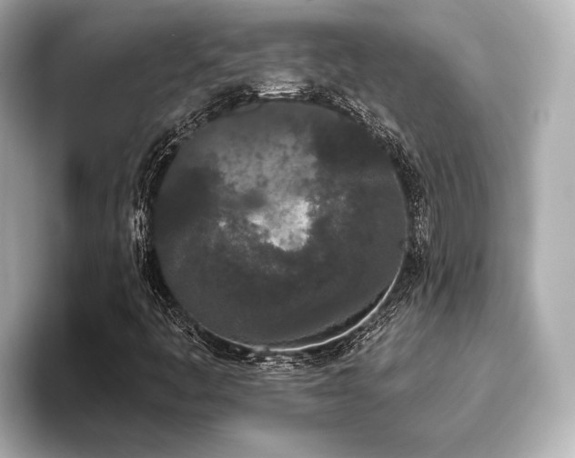 X0000096721445200802051433