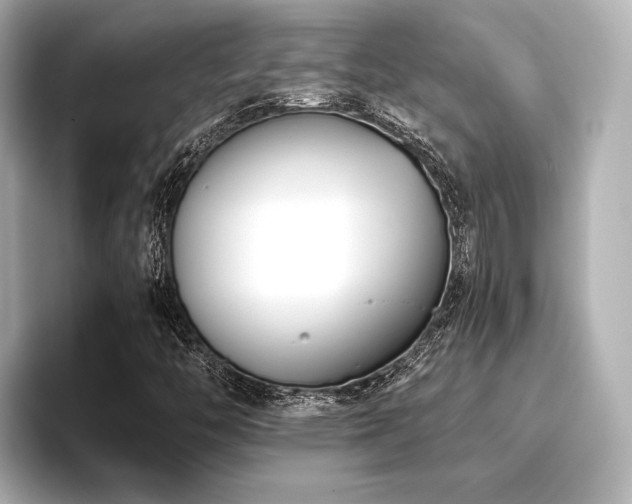 X0000096721446200802051433