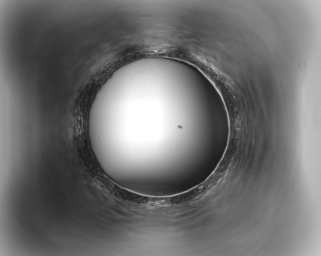X0000096721447200802051433