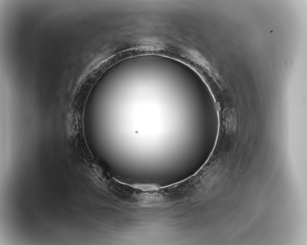 X0000096721448200802051433