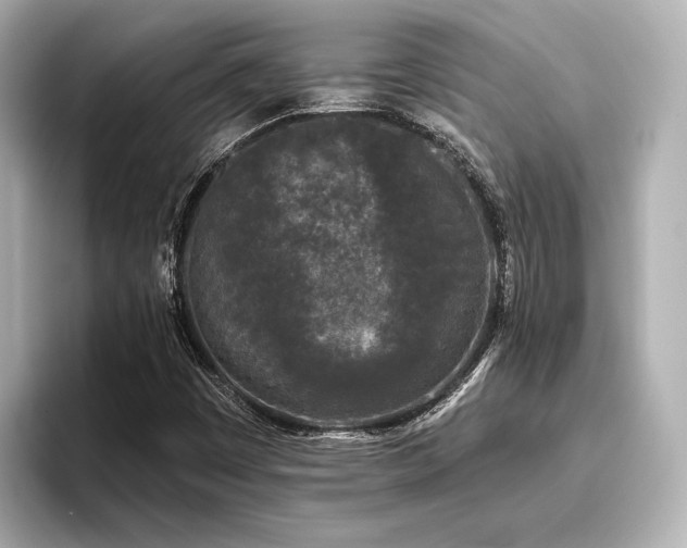 X0000096721449200802051433
