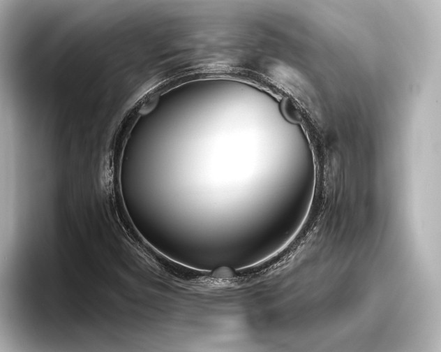X0000096721450200802051433