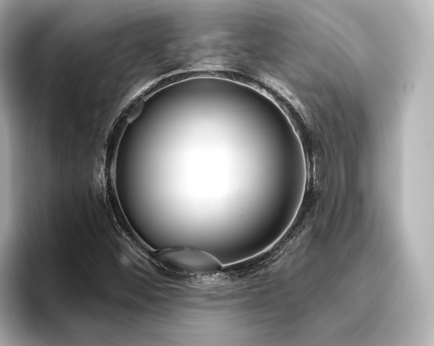 X0000096721452200802051433