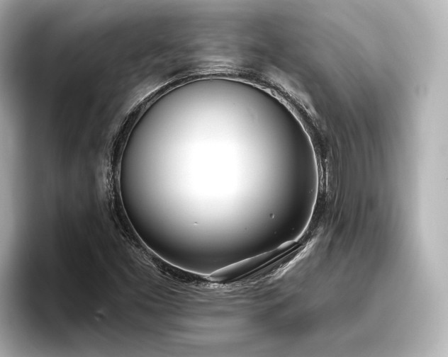 X0000096721453200802051433