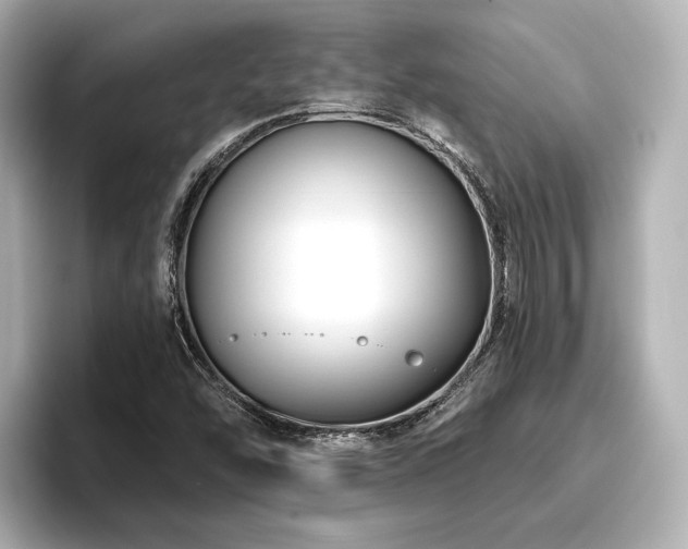 X0000096721454200802051432