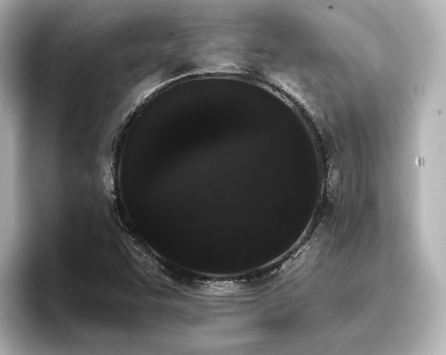 X0000096721455200802051432
